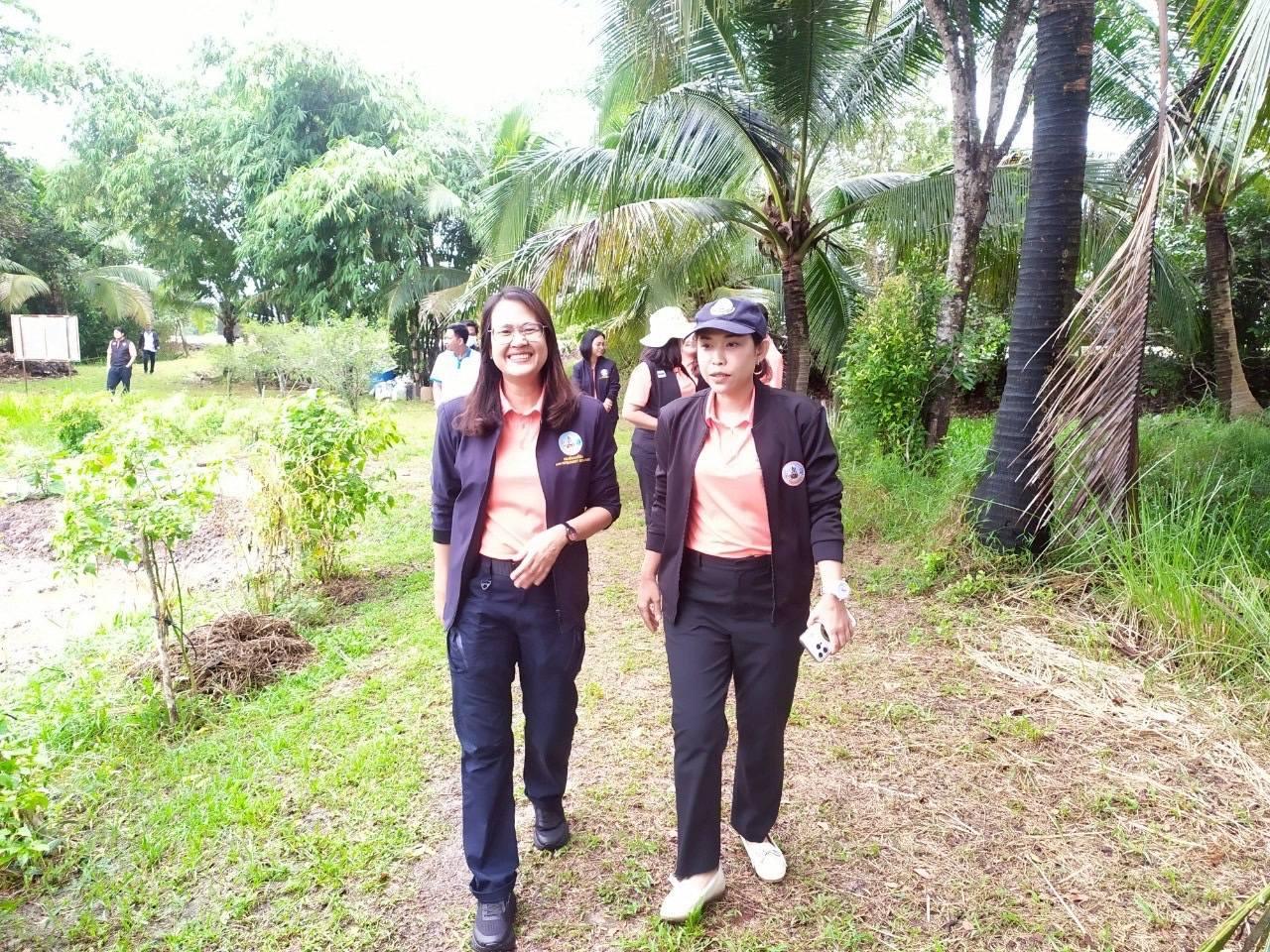 ภาพประกอบที่ 6