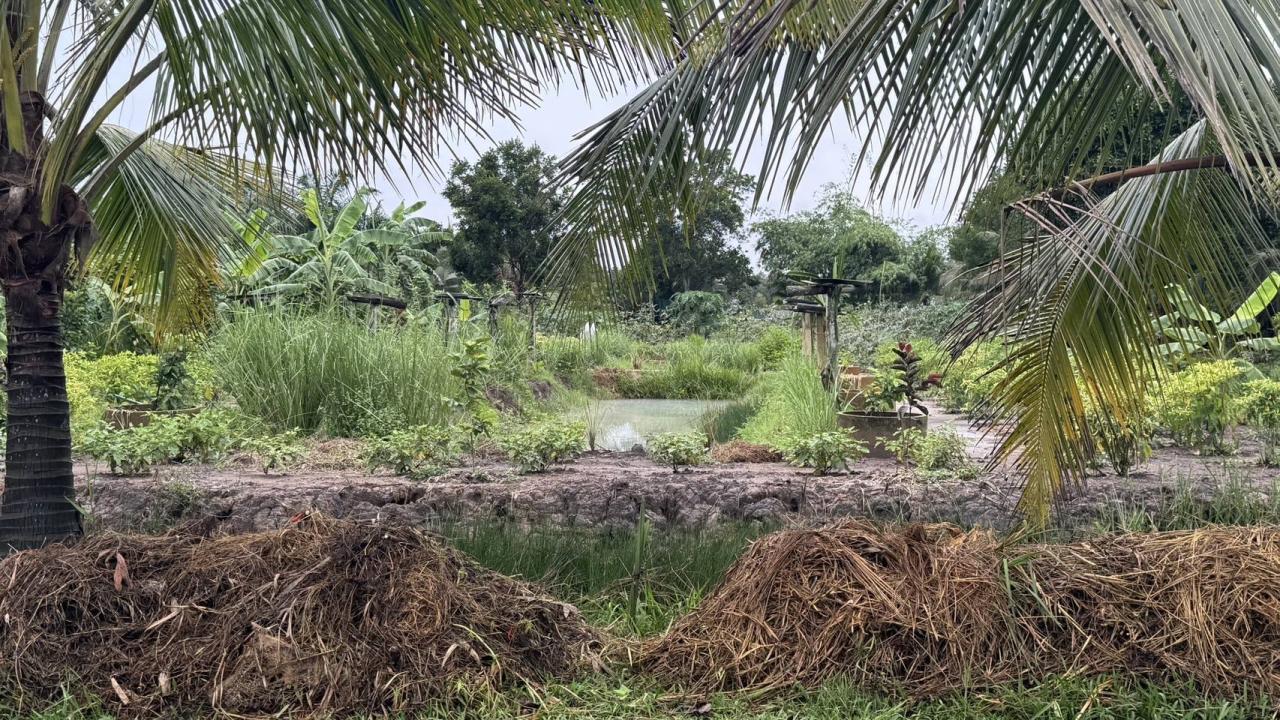 ภาพประกอบที่ 8