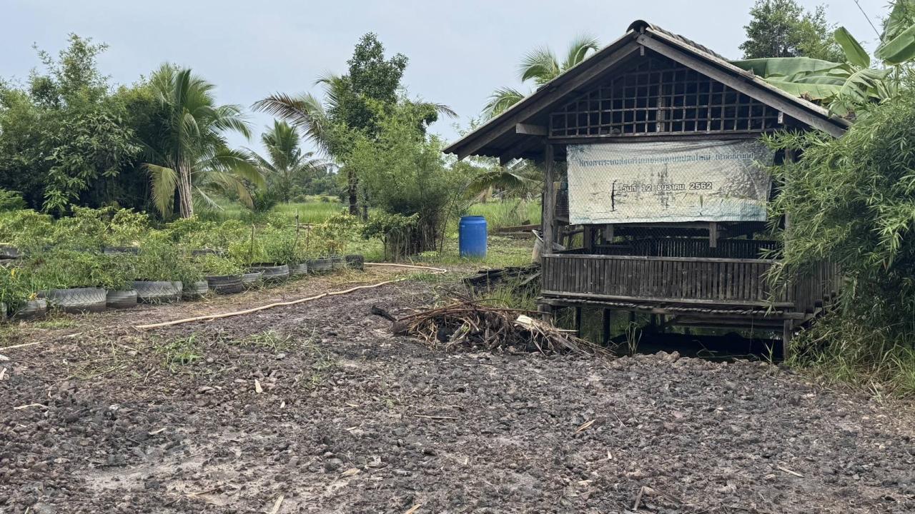 ภาพประกอบที่ 9