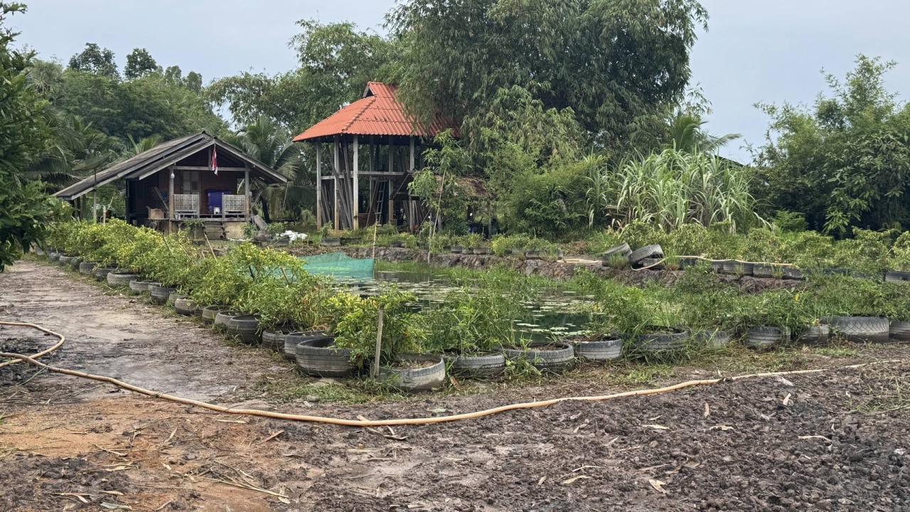 ภาพประกอบที่ 10