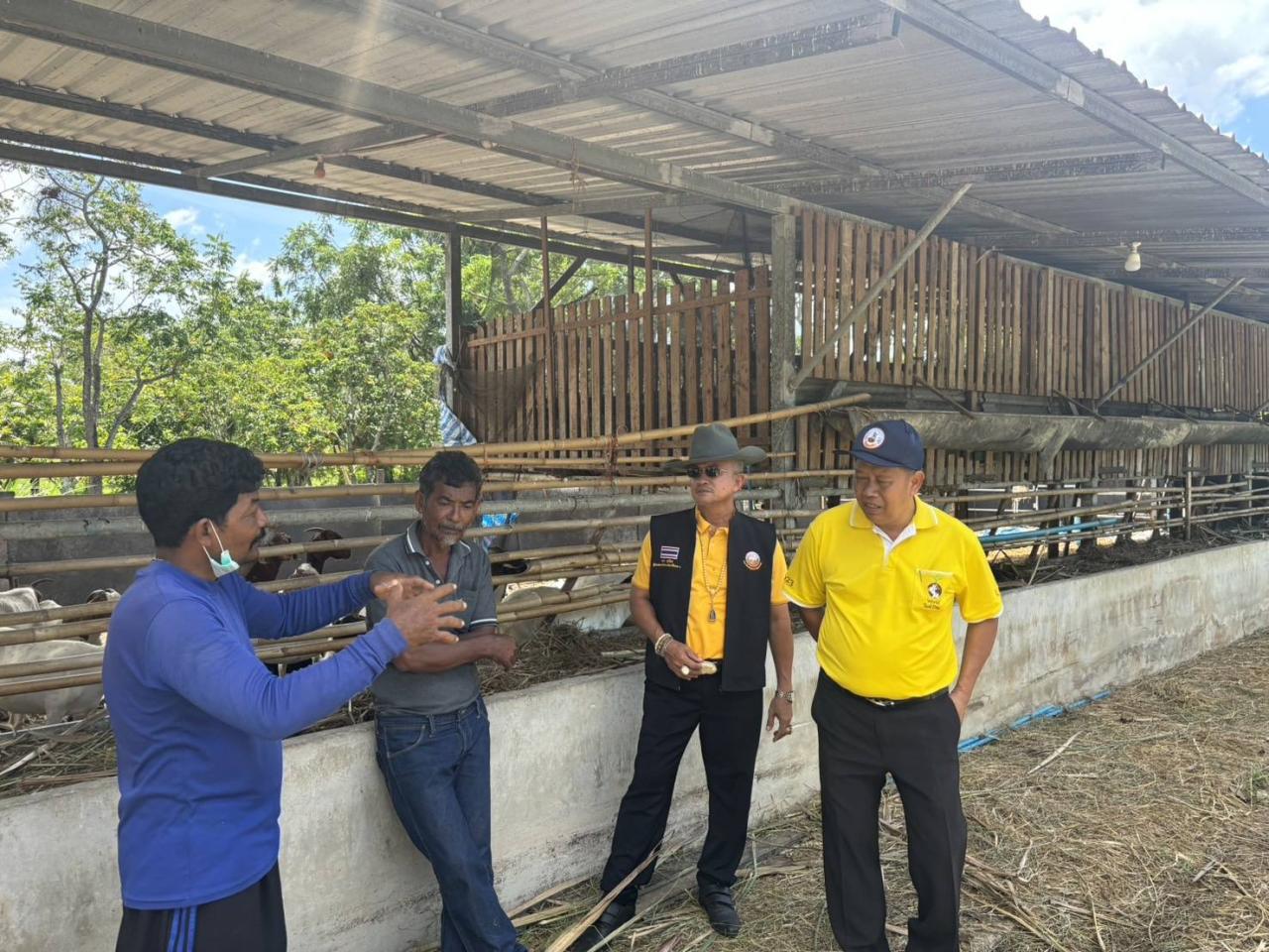 ภาพประกอบที่ 0