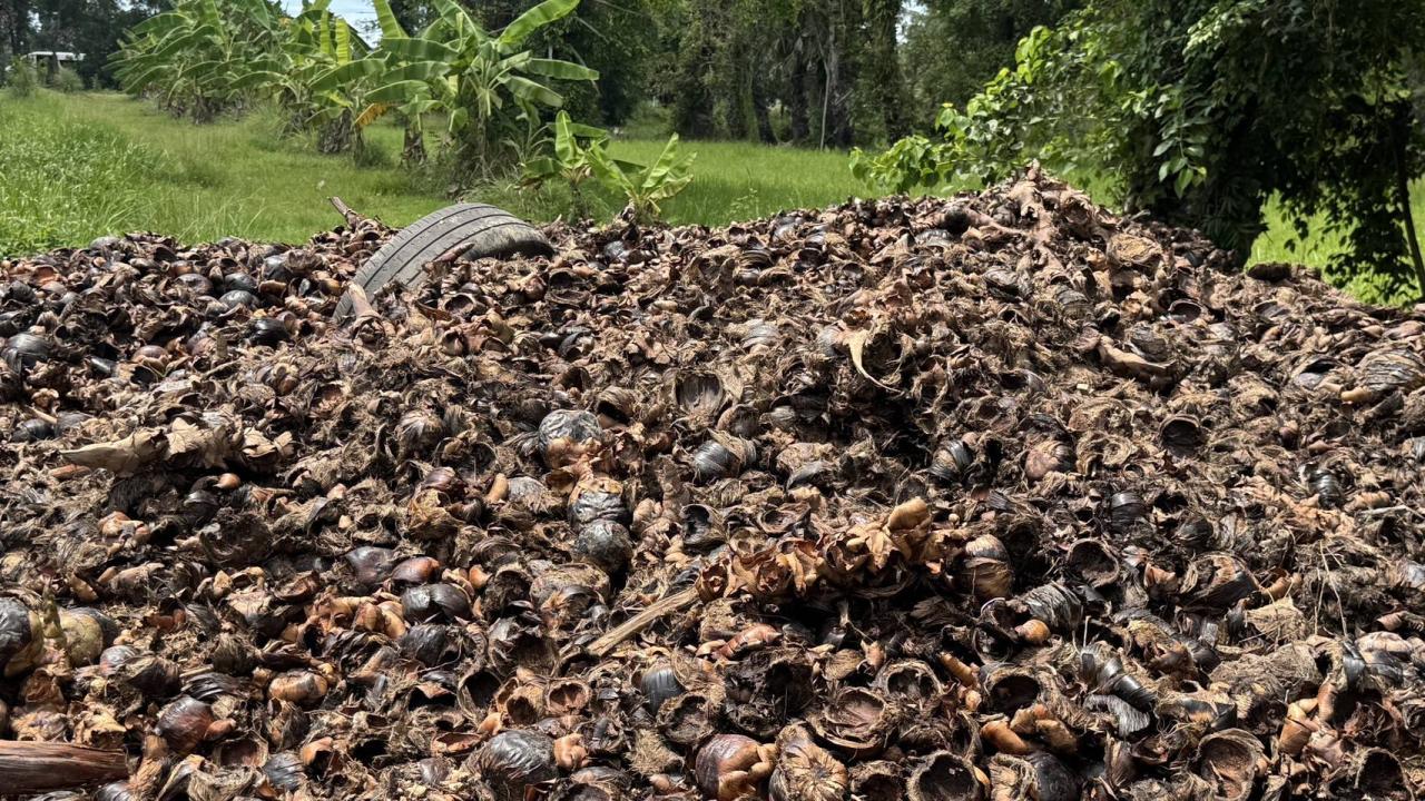 ภาพประกอบที่ 5