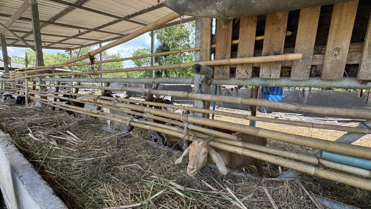 ภาพประกอบที่ 6