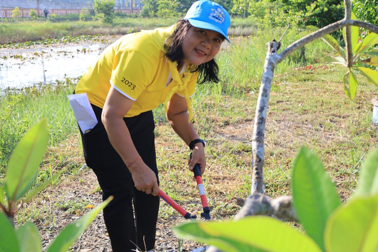 ภาพประกอบที่ 19
