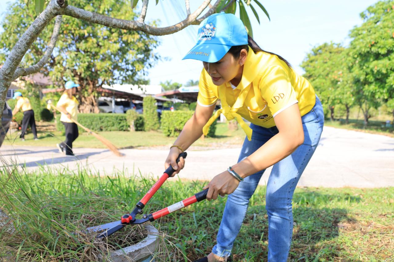 ภาพประกอบที่ 21