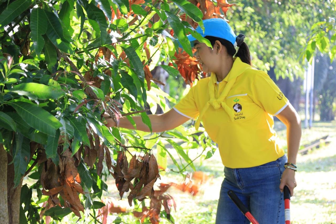 ภาพประกอบที่ 55