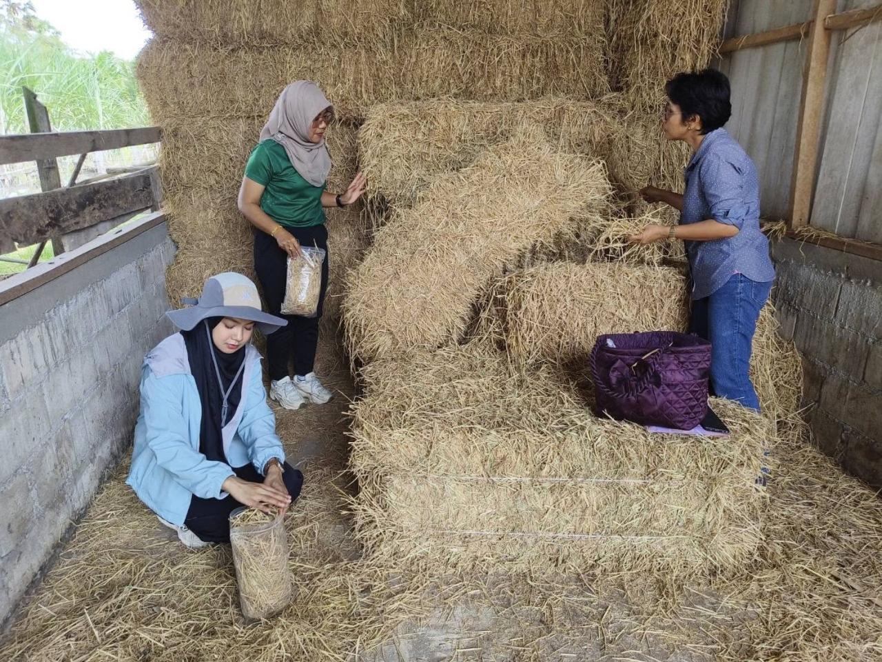 ภาพประกอบที่ 4