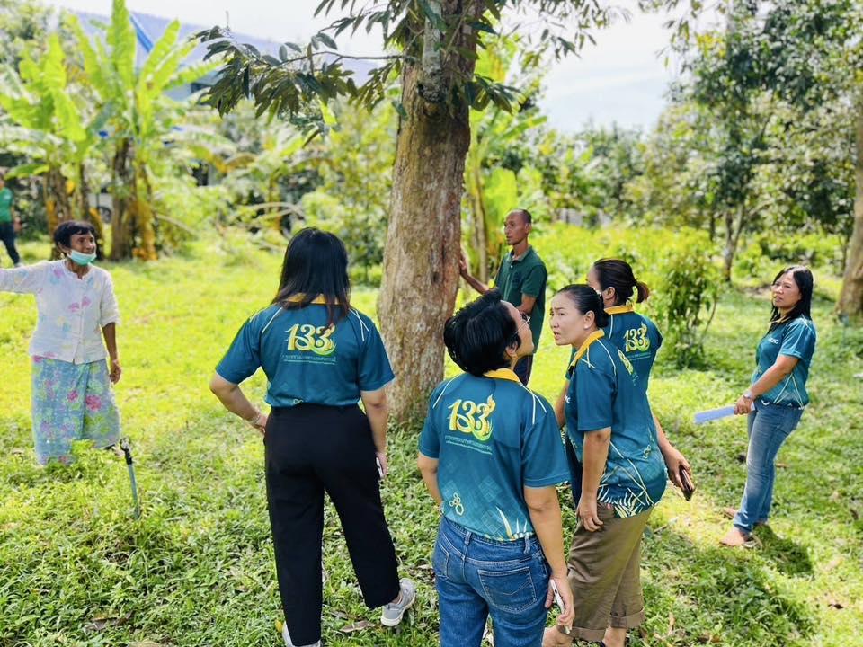 ภาพประกอบที่ 3