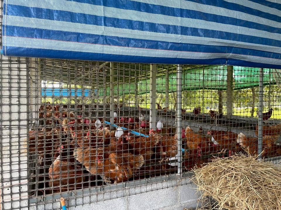 ภาพประกอบที่ 6