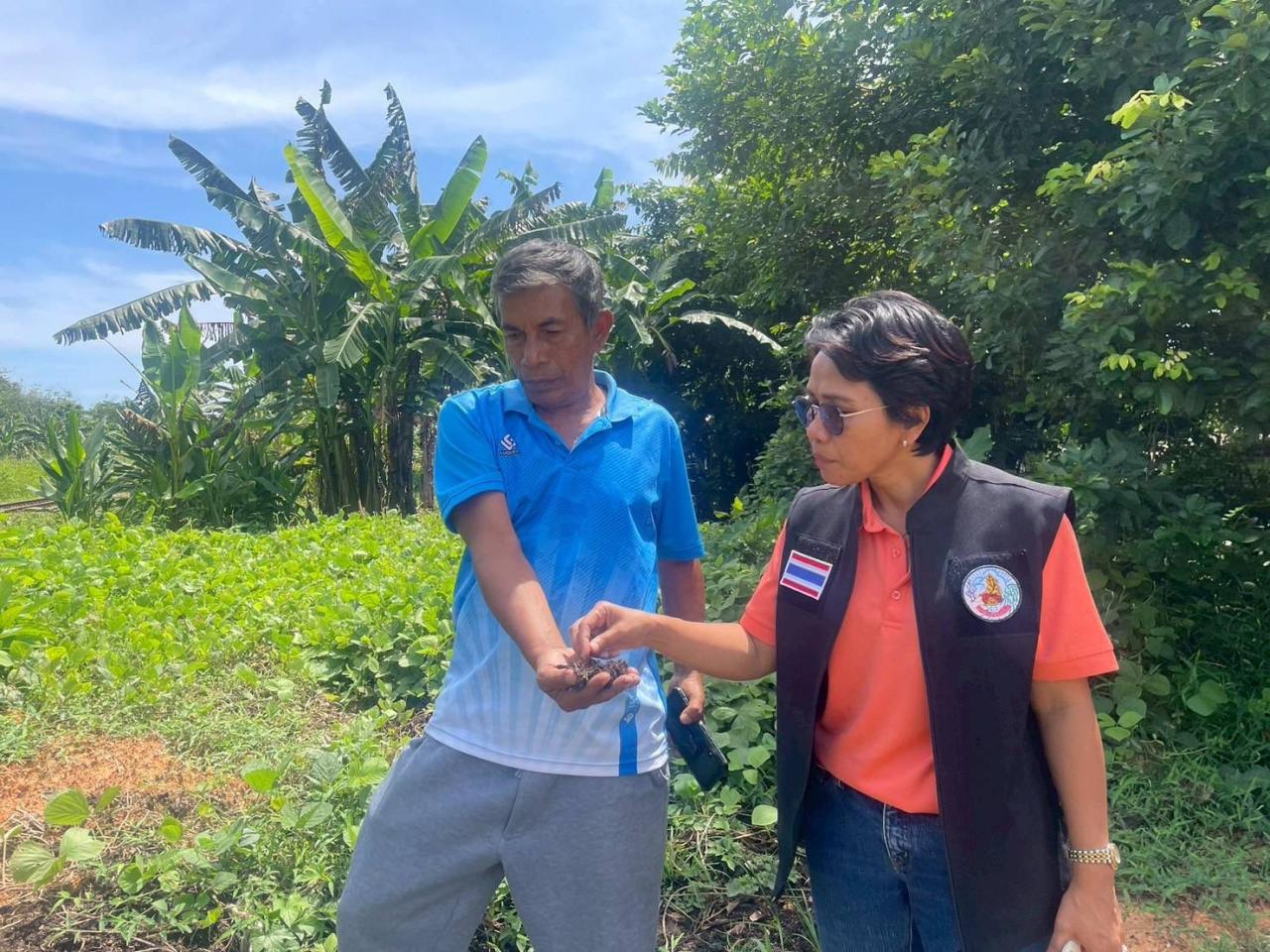 ภาพประกอบที่ 3