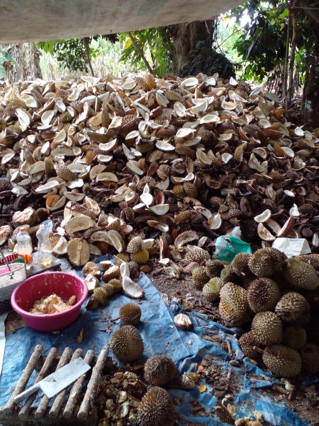 ภาพประกอบที่ 5