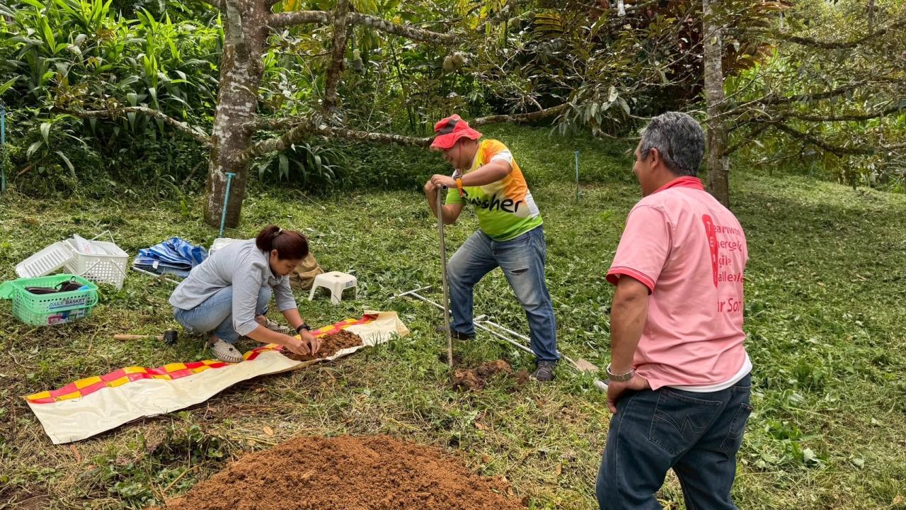 ภาพประกอบที่ 1