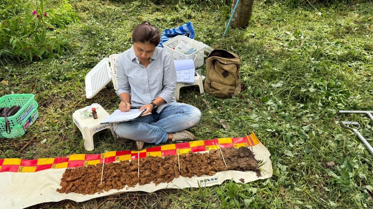 ภาพประกอบที่ 2