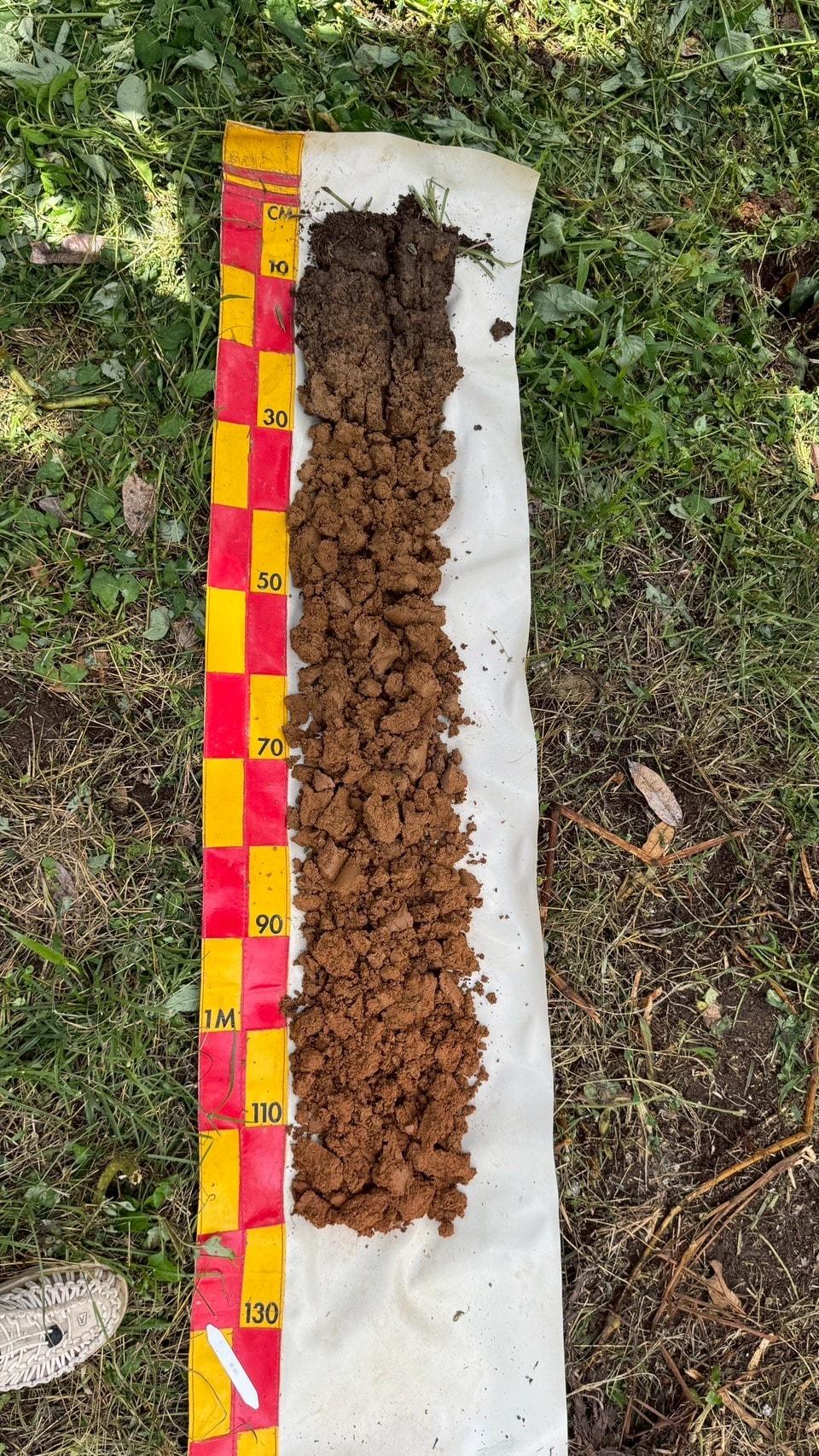 ภาพประกอบที่ 8