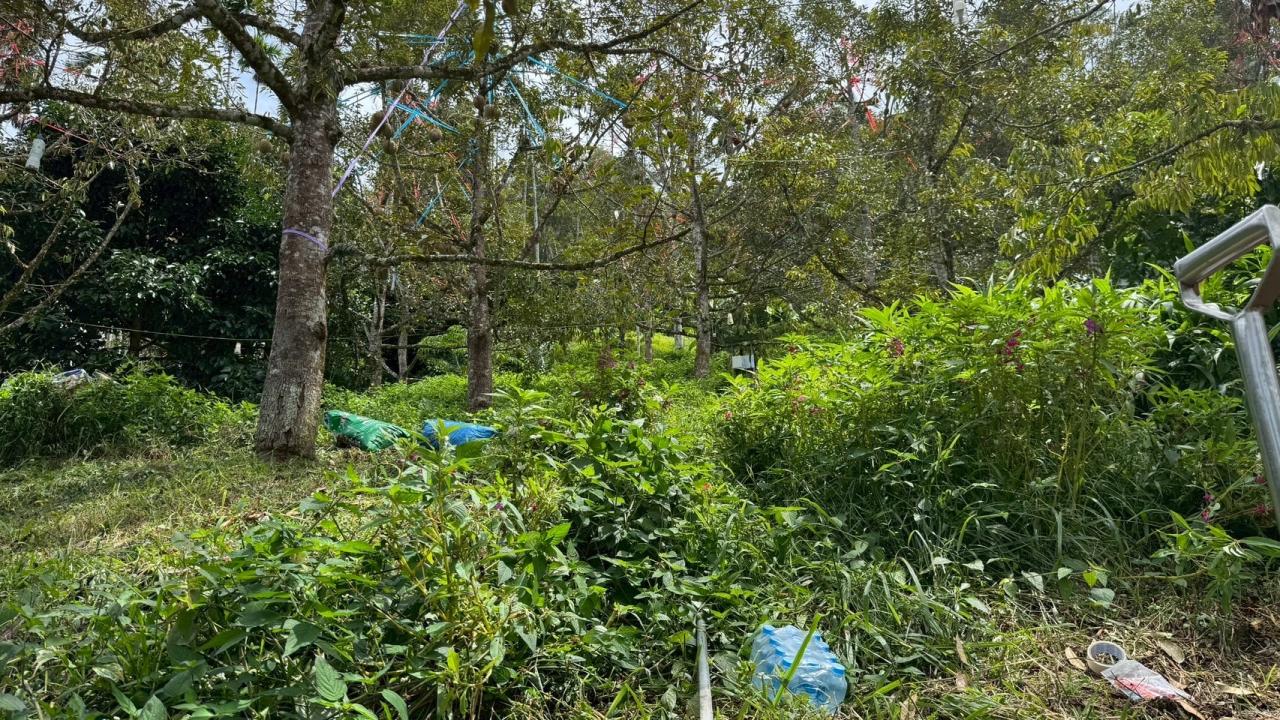 ภาพประกอบที่ 9