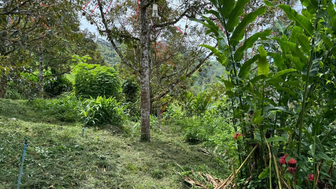 ภาพประกอบที่ 10