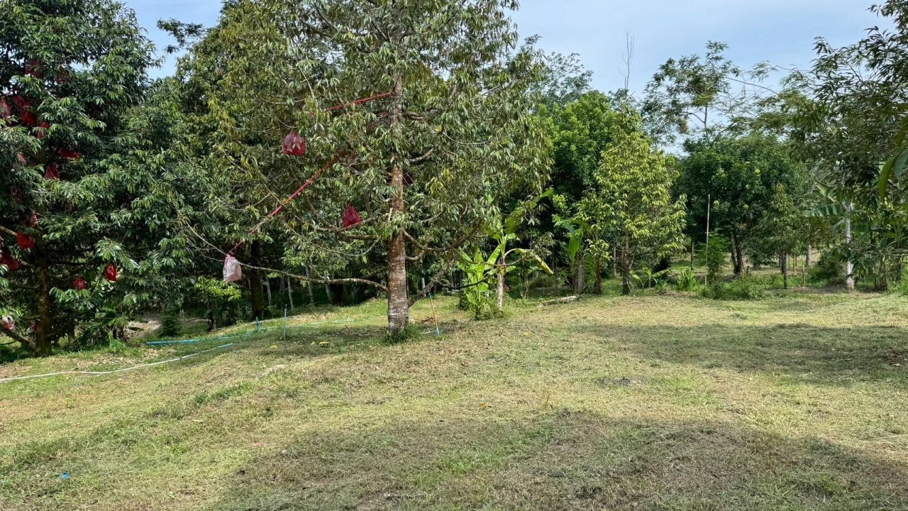 ภาพประกอบที่ 9