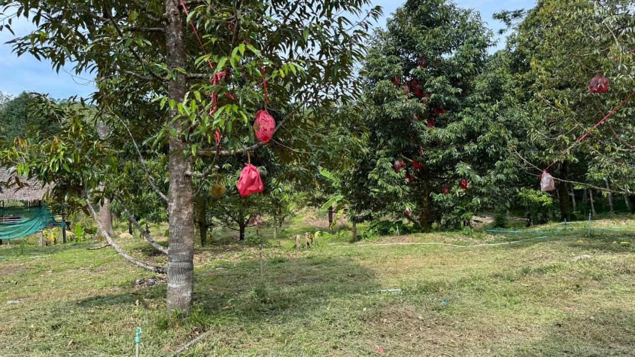 ภาพประกอบที่ 10