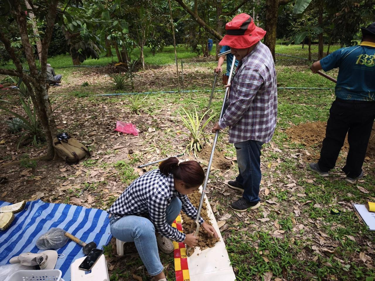 ภาพประกอบที่ 0