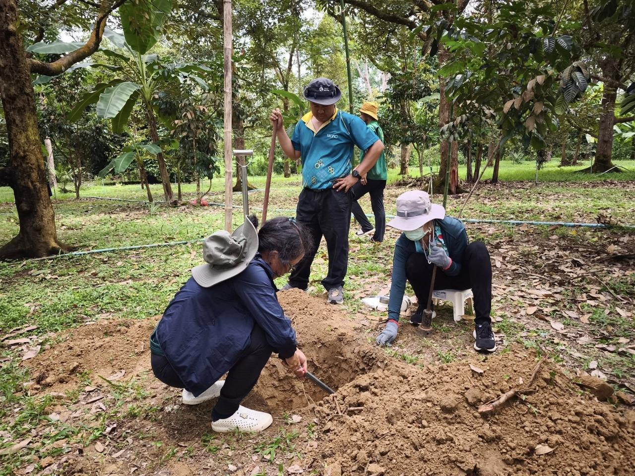ภาพประกอบที่ 1