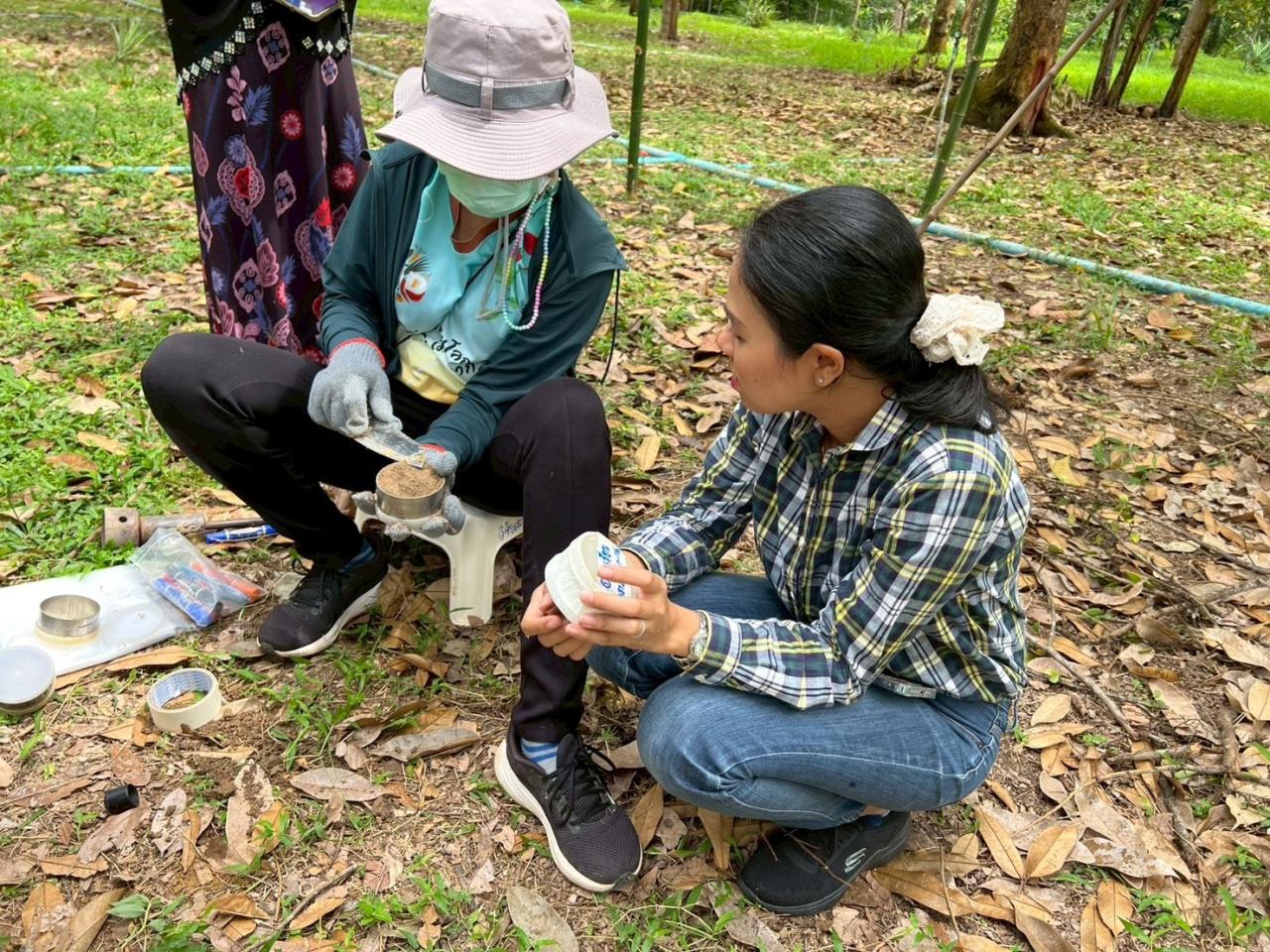 ภาพประกอบที่ 2
