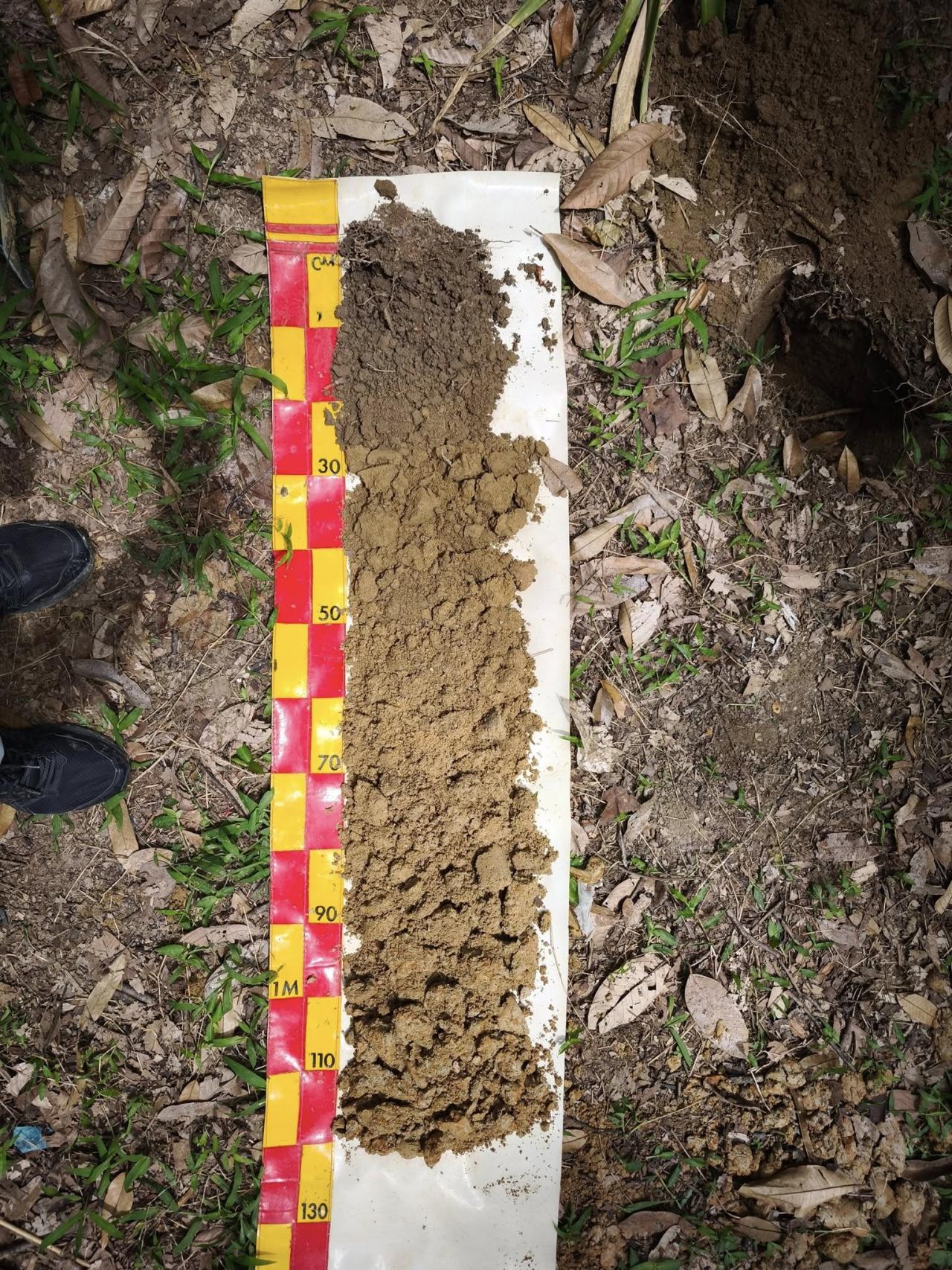 ภาพประกอบที่ 4