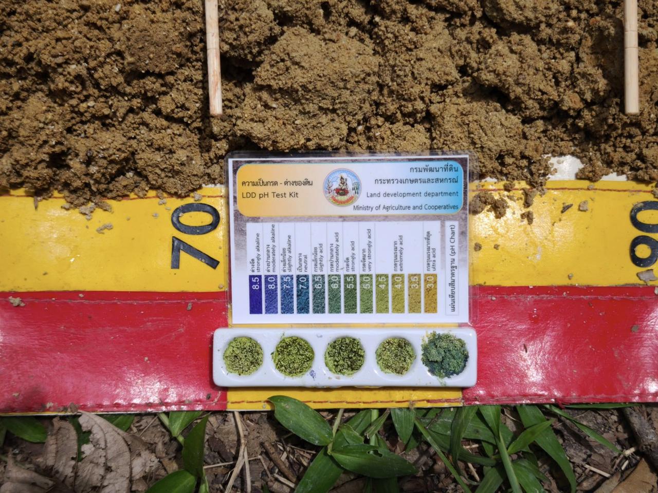 ภาพประกอบที่ 5