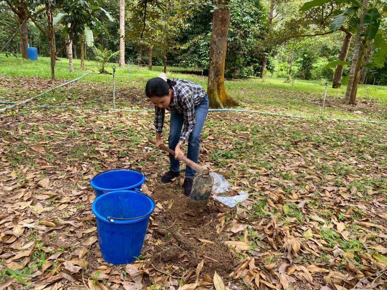 ภาพประกอบที่ 7