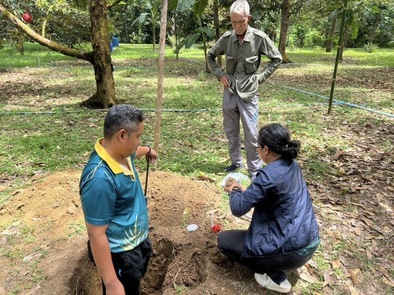 ภาพประกอบที่ 8