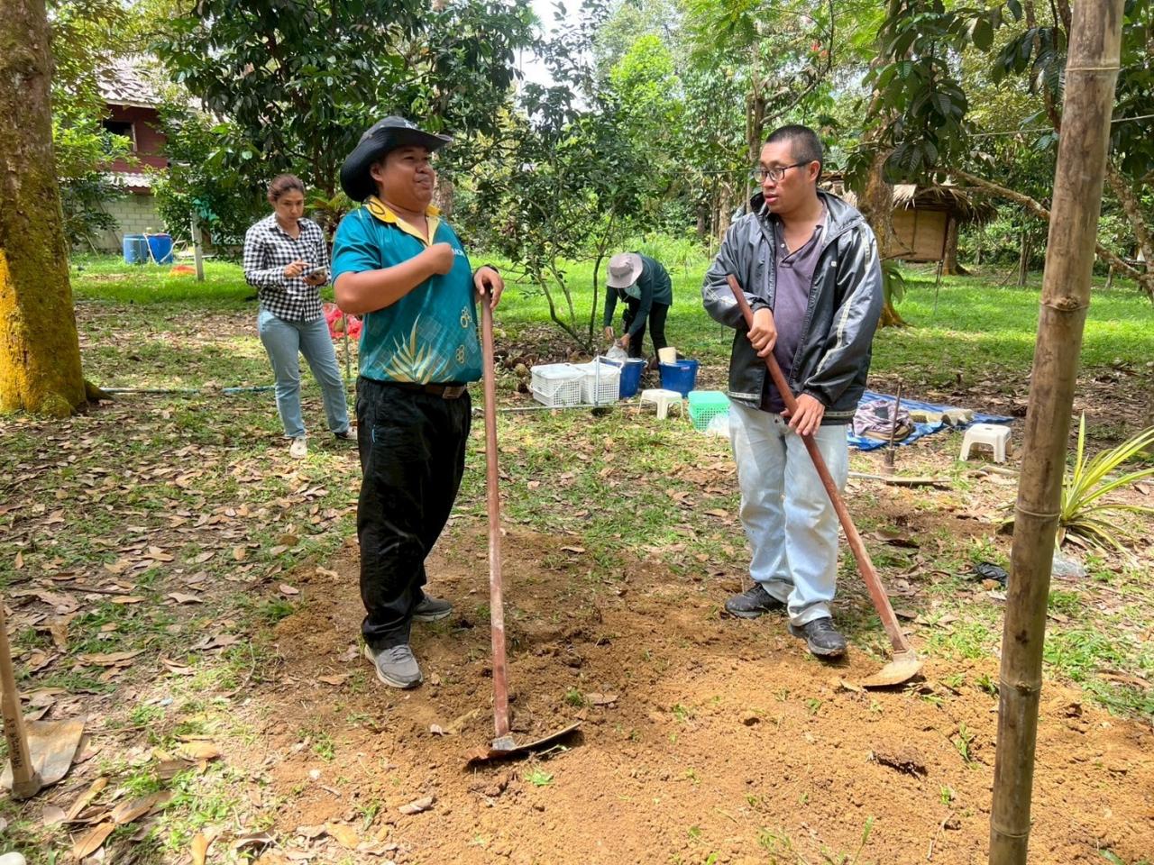 ภาพประกอบที่ 11