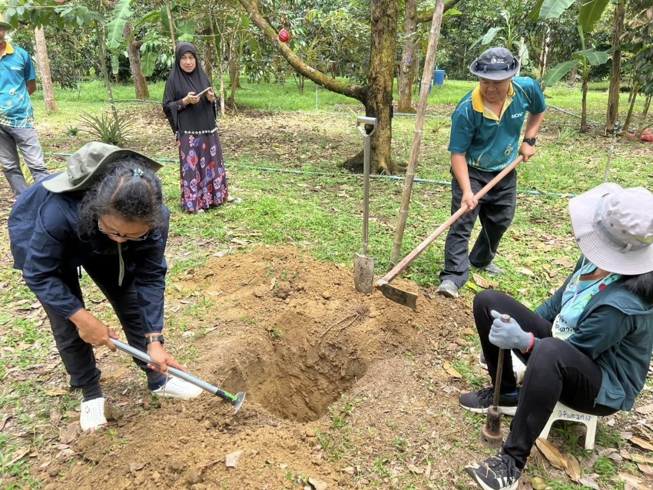 ภาพประกอบที่ 12