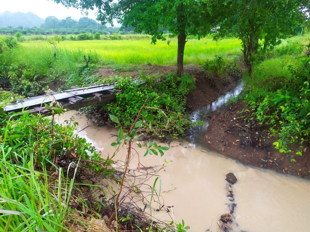 ภาพประกอบที่ 0