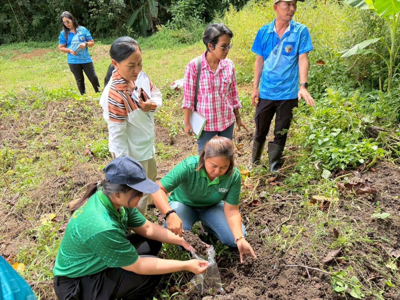 ภาพประกอบที่ 2