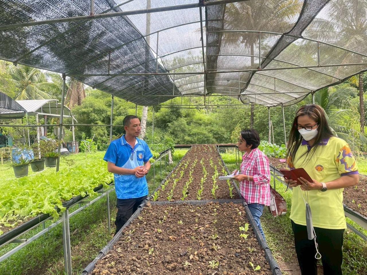 ภาพประกอบที่ 3