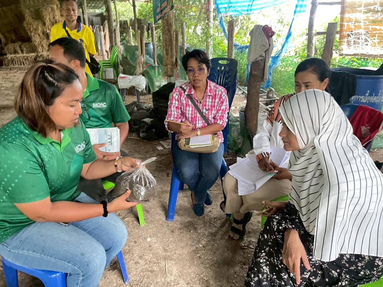 ภาพประกอบที่ 6