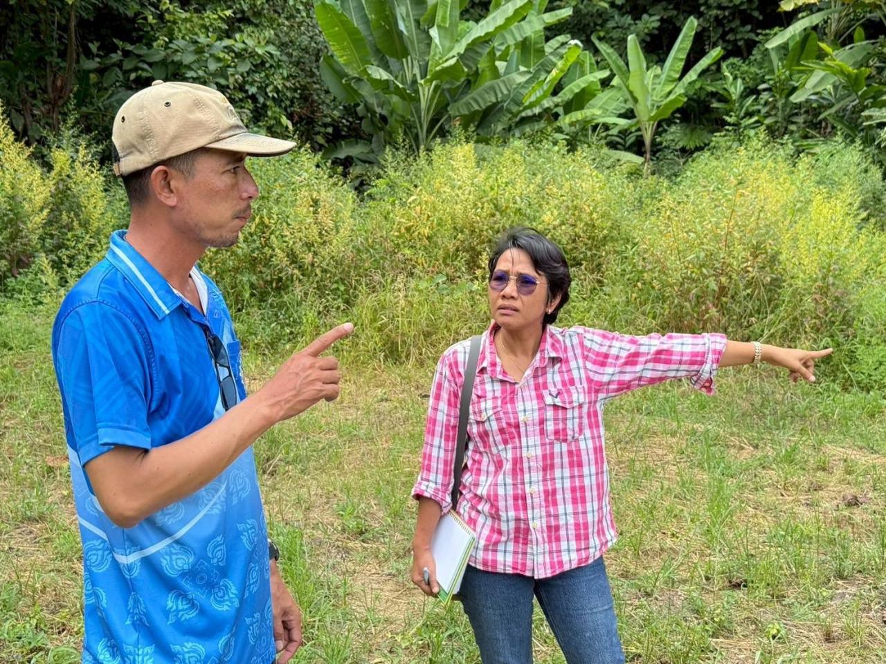 ภาพประกอบที่ 7