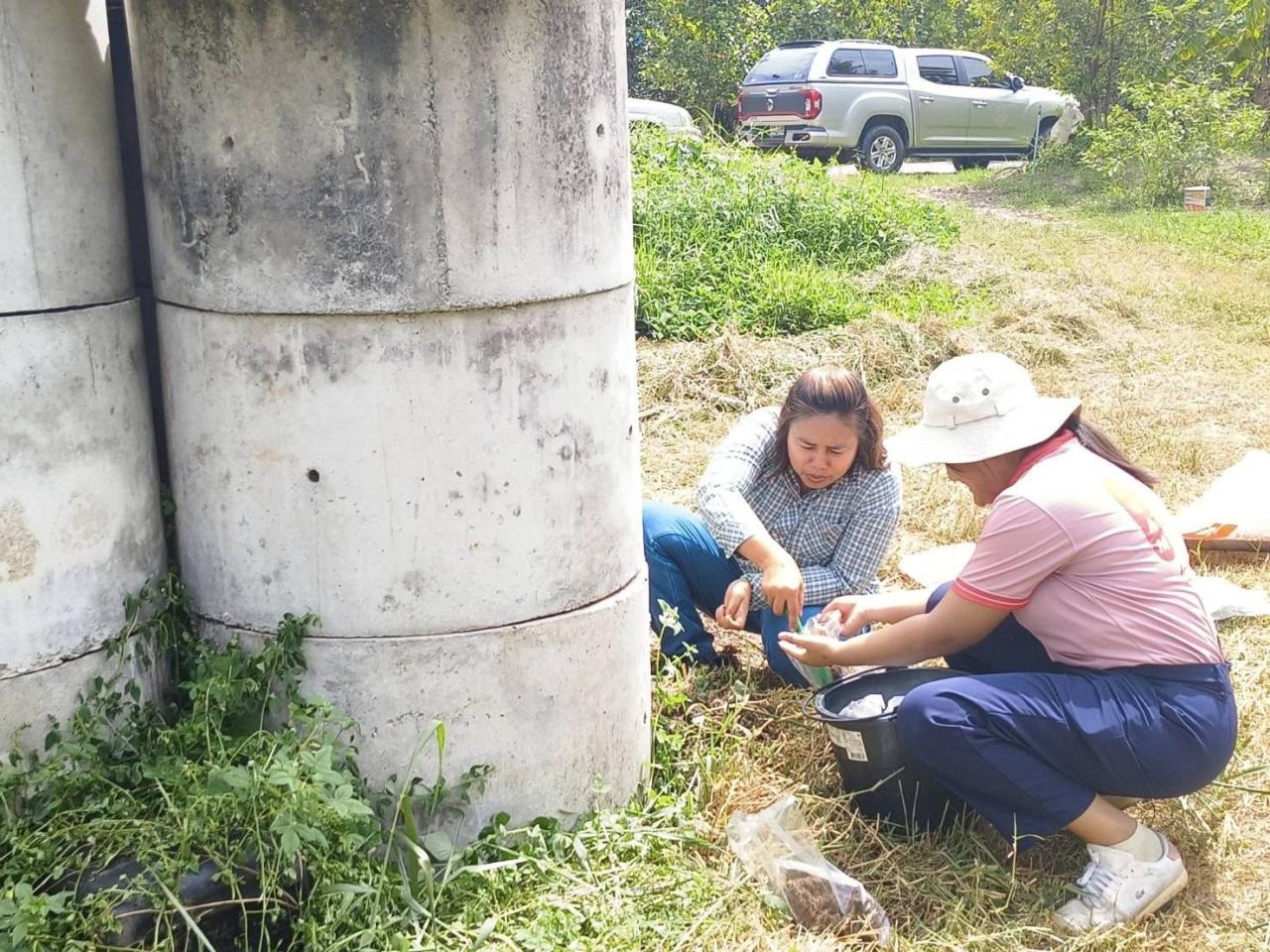 ภาพประกอบที่ 8