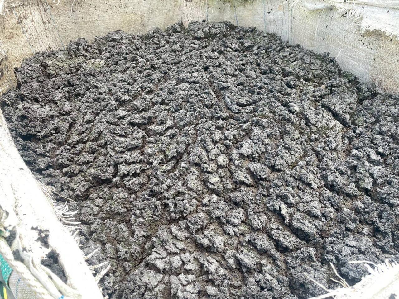 ภาพประกอบที่ 9