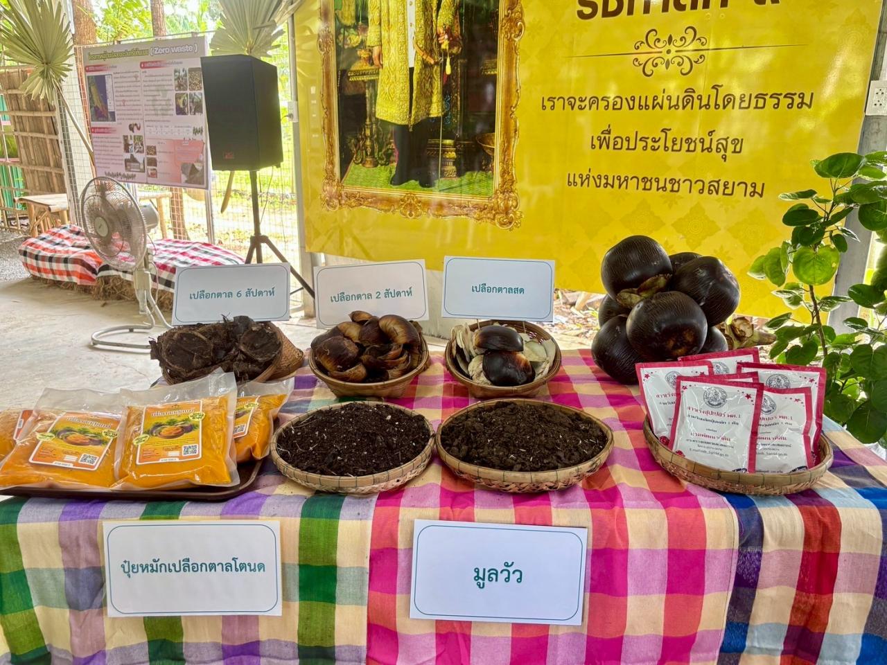 ภาพประกอบที่ 19