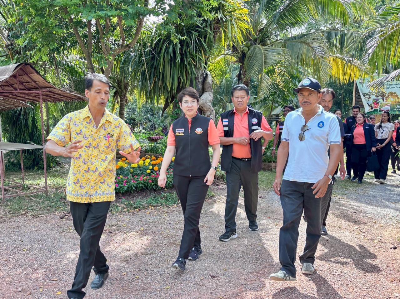 ภาพประกอบที่ 24