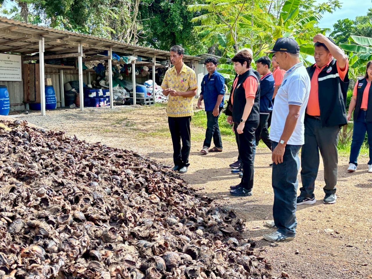 ภาพประกอบที่ 25