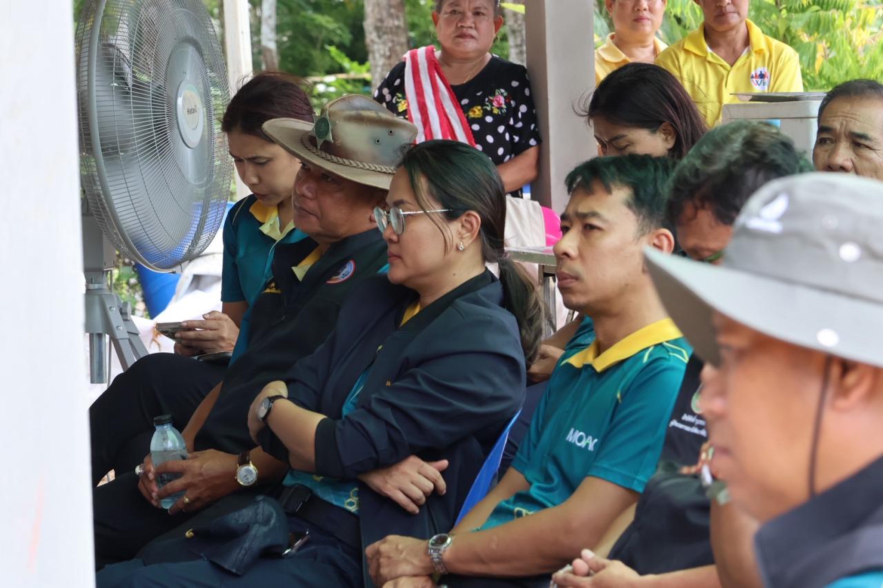 ภาพประกอบที่ 13