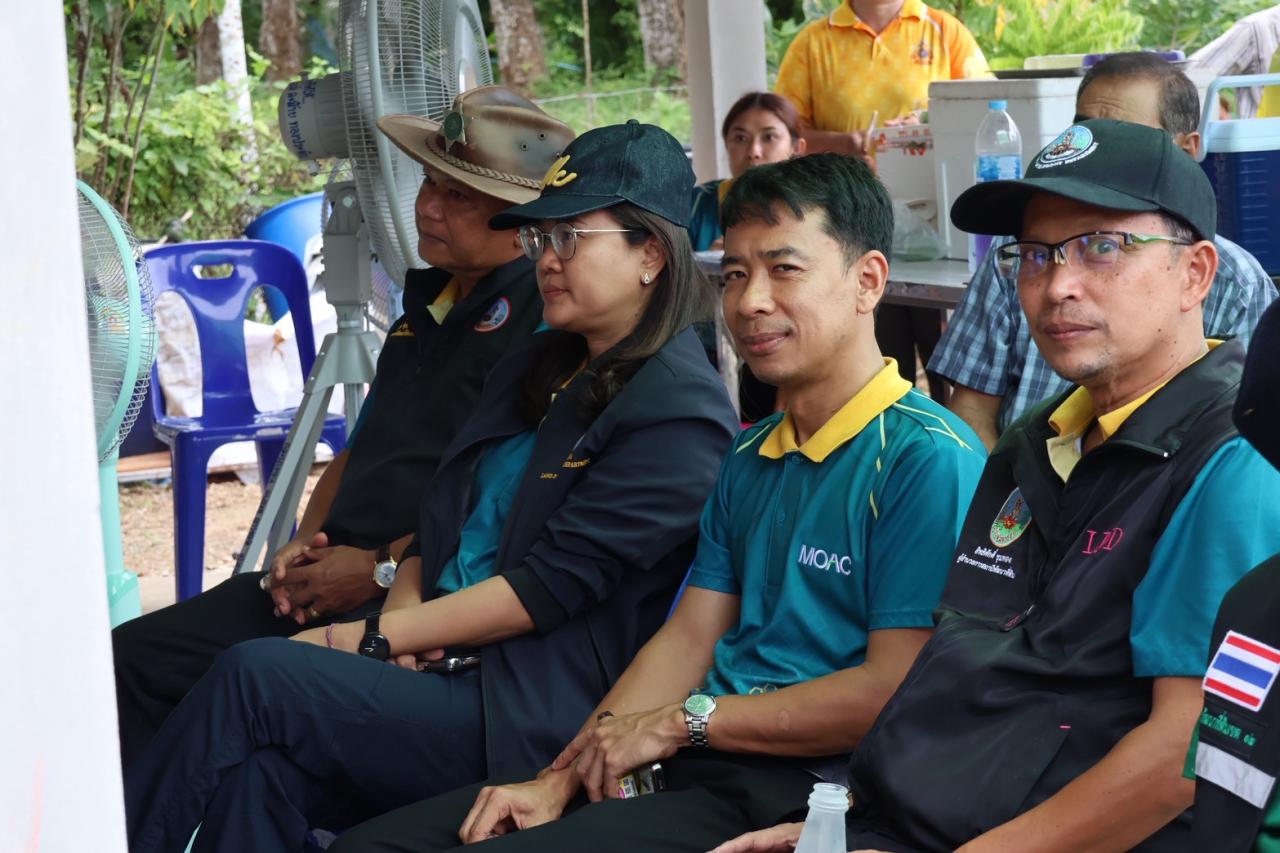 ภาพประกอบที่ 15