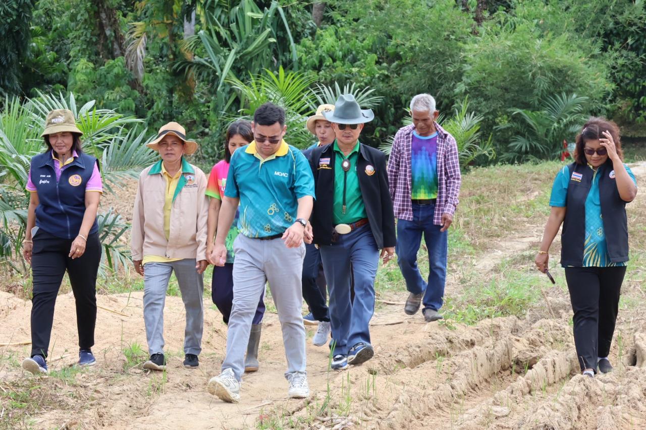 ภาพประกอบที่ 19