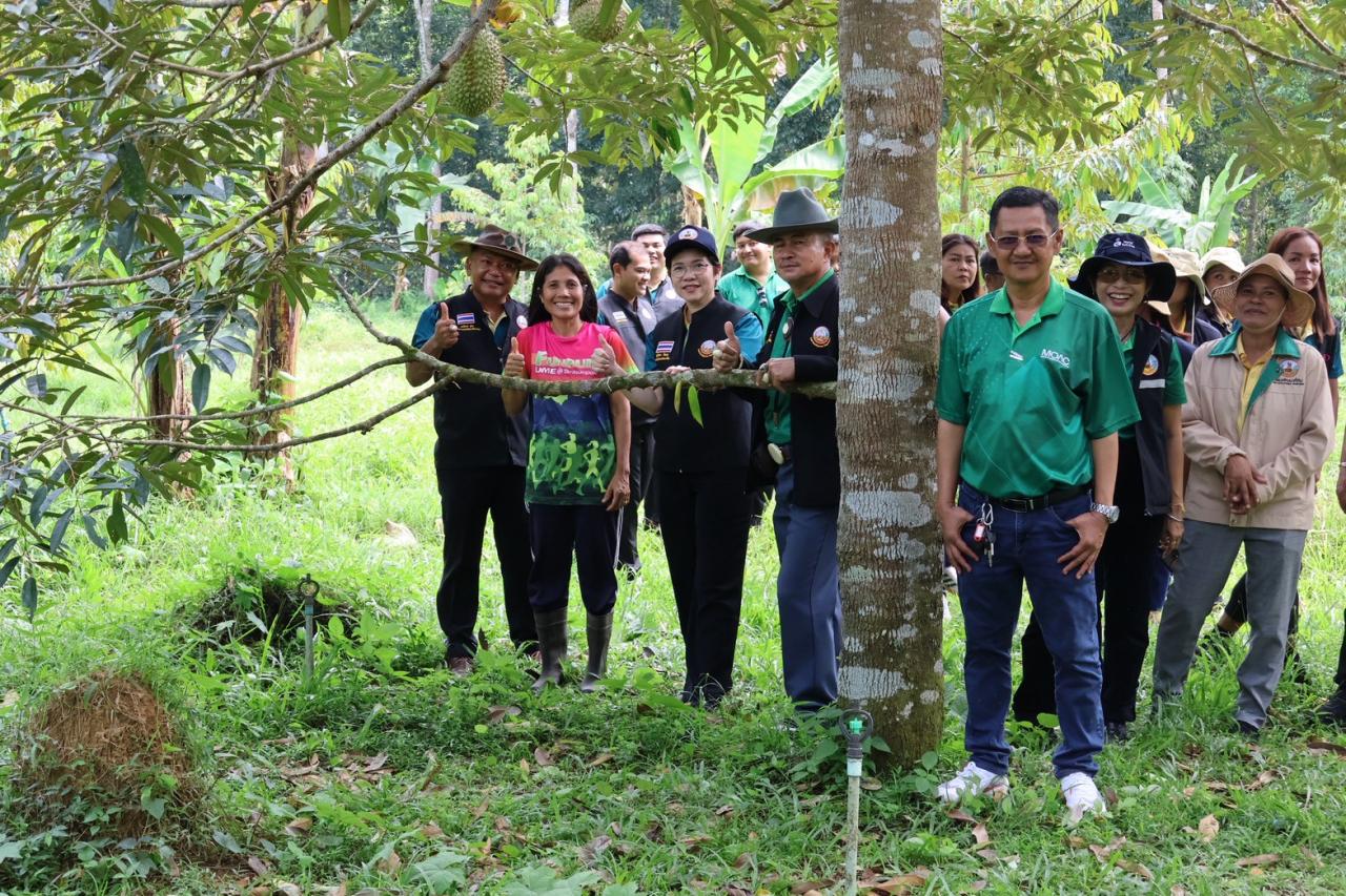 ภาพประกอบที่ 23