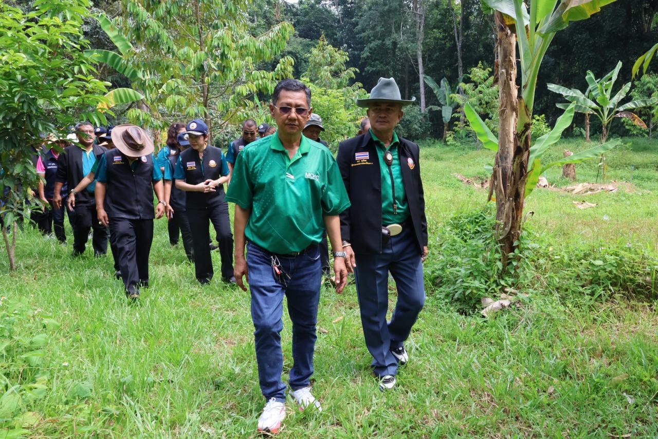 ภาพประกอบที่ 24