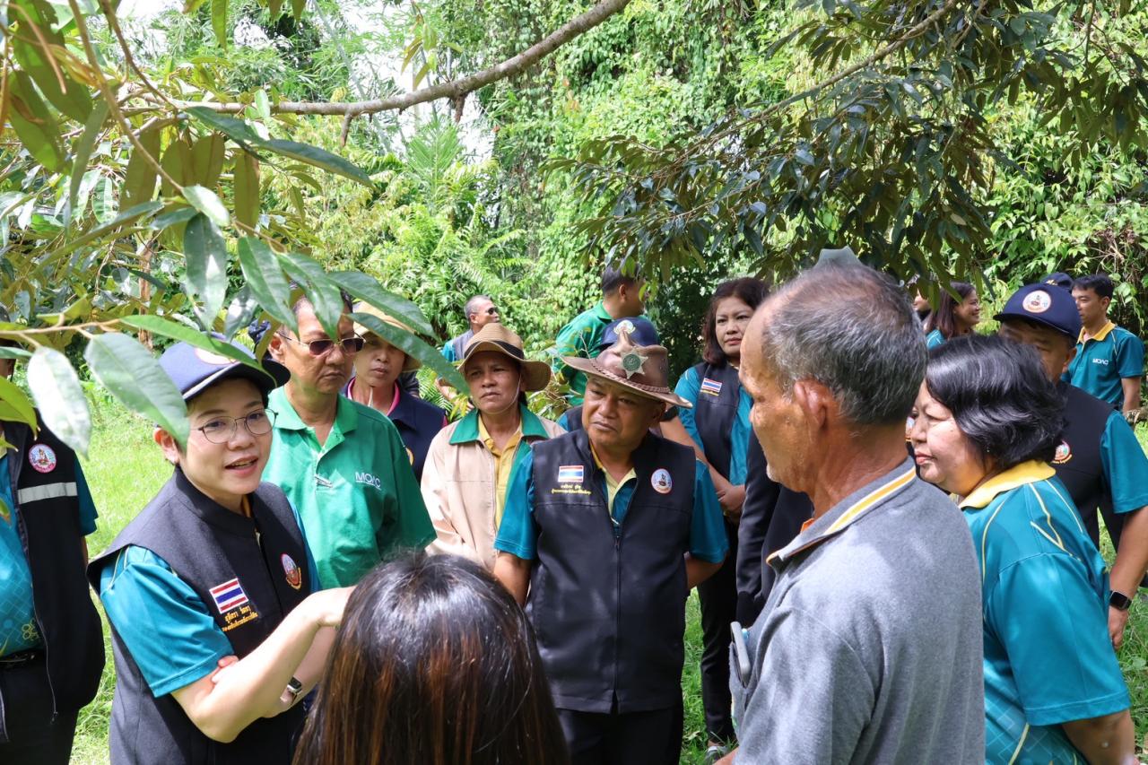 ภาพประกอบที่ 25