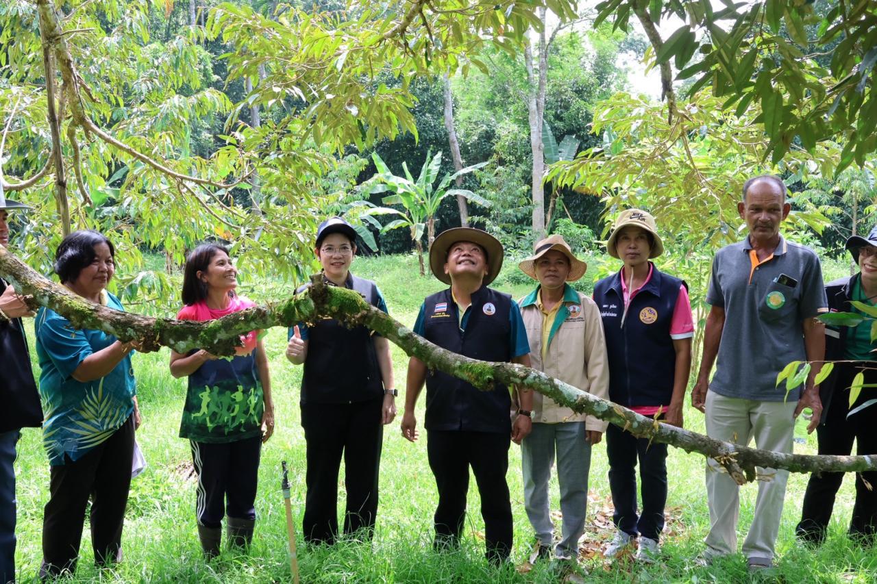ภาพประกอบที่ 26