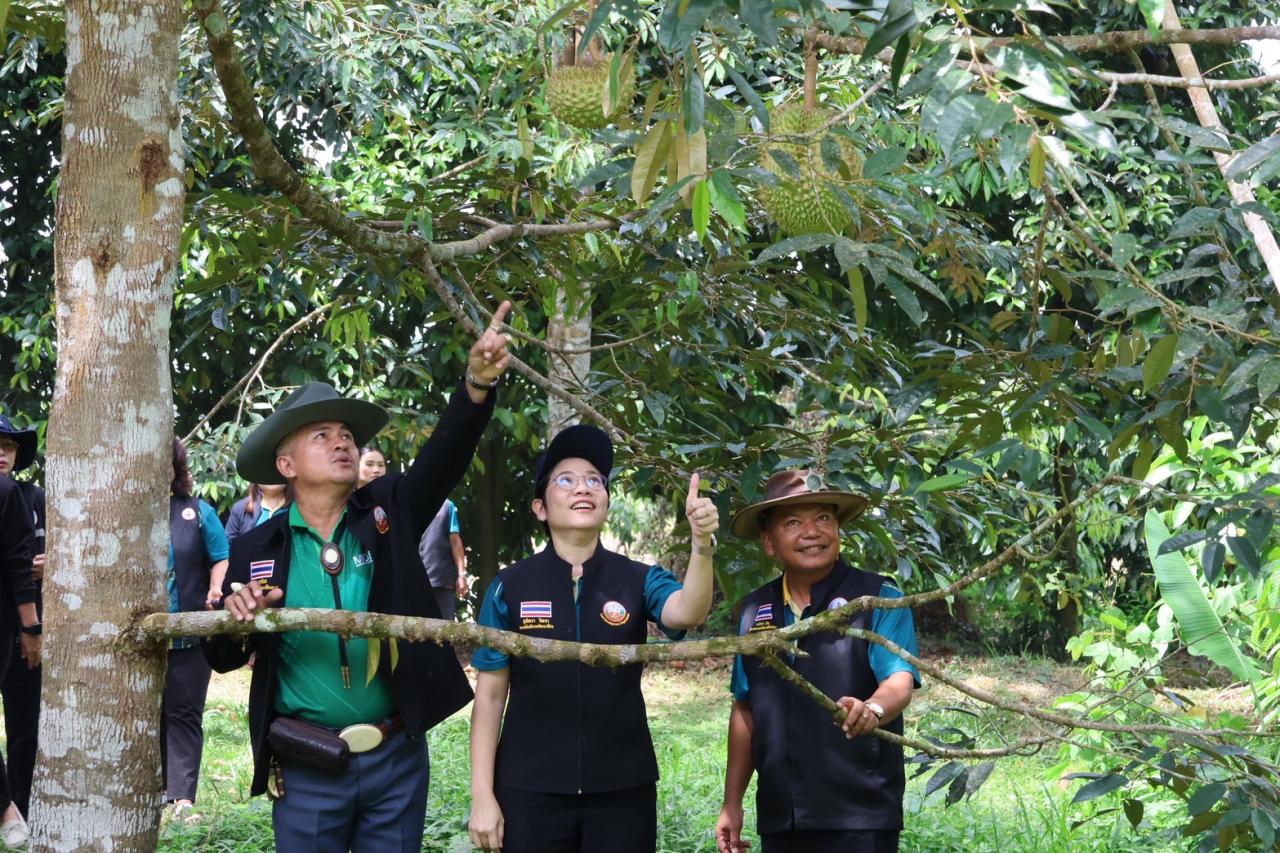 ภาพประกอบที่ 27