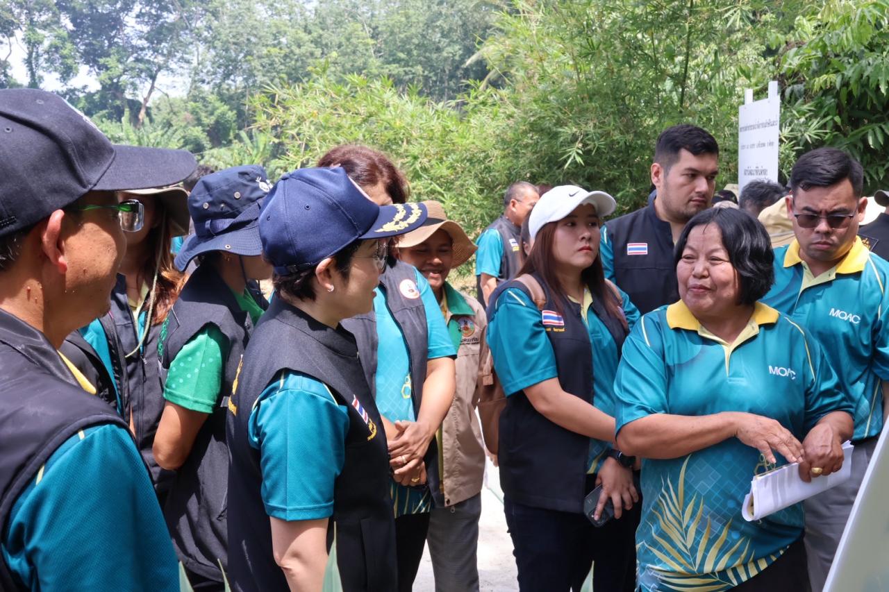 ภาพประกอบที่ 29